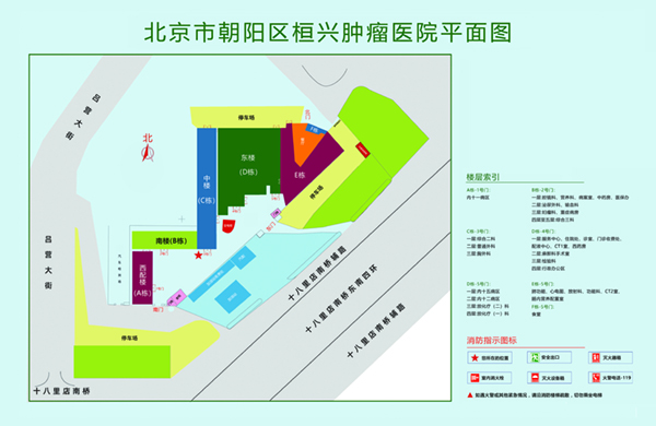 屌真大，骚逼被肏漏了。北京市朝阳区桓兴肿瘤医院平面图